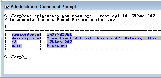 obtain API info AWS