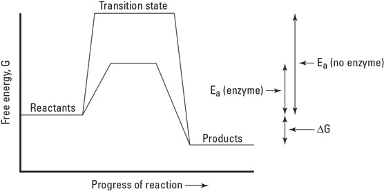 energy activation