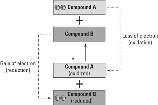 Redox reactions.