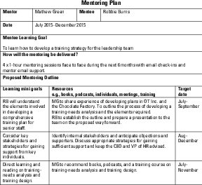 sample mentoring plan