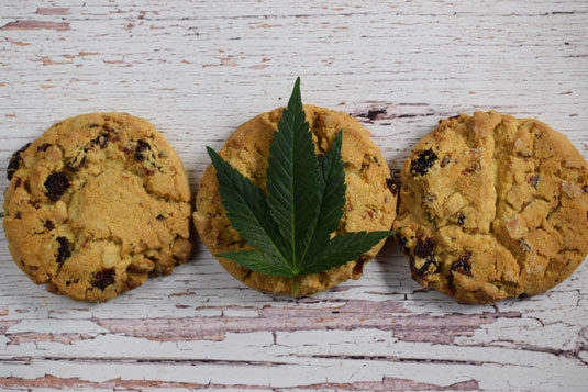 cannabis cookies