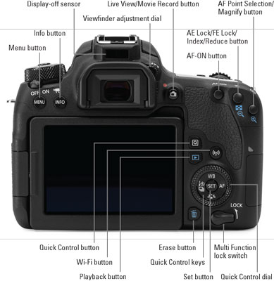 canon77d-back