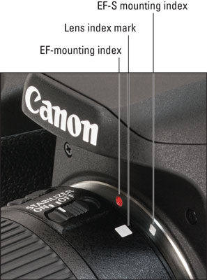 canon77d-mounting
