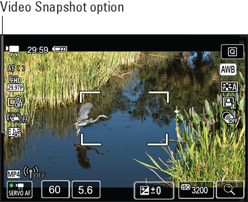 Ongewijzigd ontwikkelen arm Creating Video Snapshots on the Canon EOS 77D - dummies