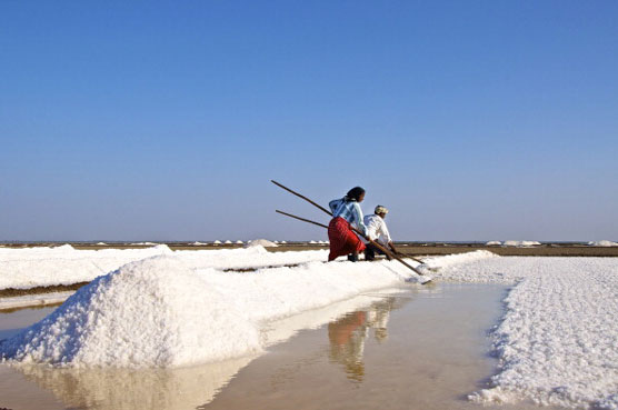 Sea salt production