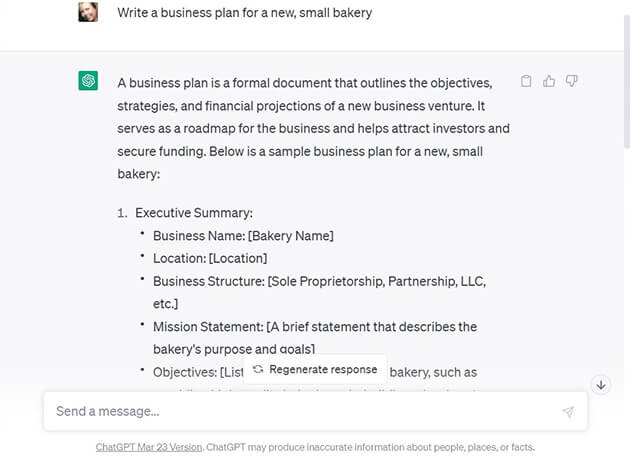 Screenshot showing a ChatGPT response for a business plan