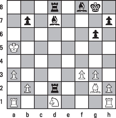 chess-karpov-seals