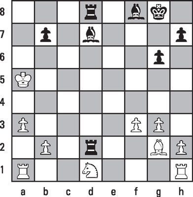 Combinations and variations of one -dimensional spaces Collage by Anatoly  Karpov