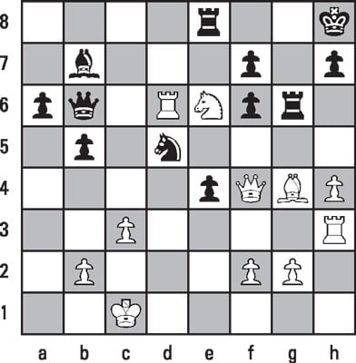 Garry Kasparov Teaches Chess Volume 1: How to Play the Queen's Gambit