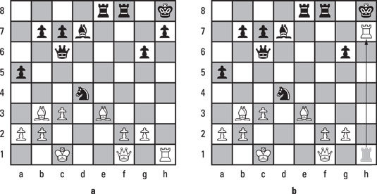 chess-Steinitz-finishes