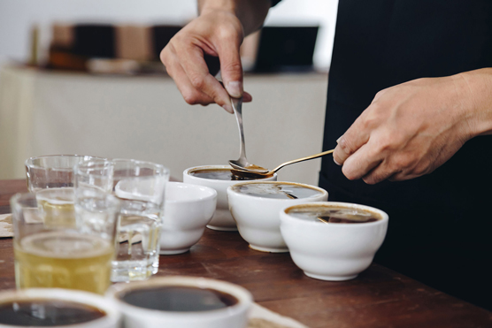 Cuppers taste test coffees.