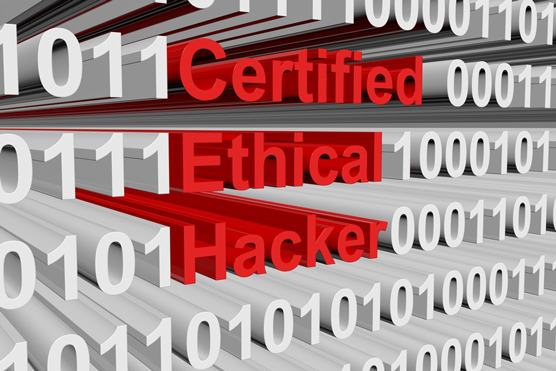 ethical hacker