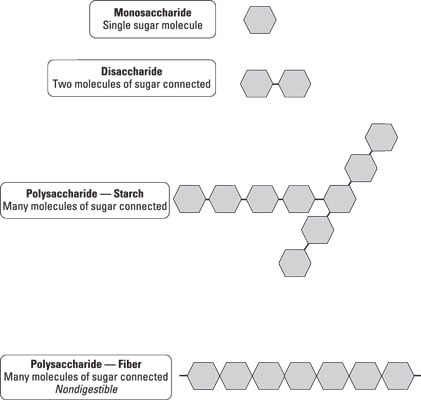 basic carbohydrate chemical structure