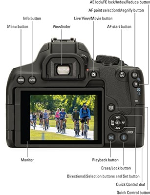 dSLR camera back