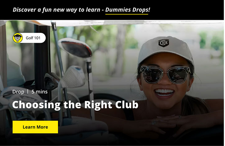 Discover a fun new way to learn -- Dummies Drops! Learn More