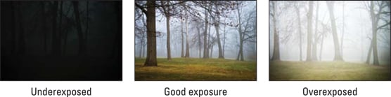 exposures