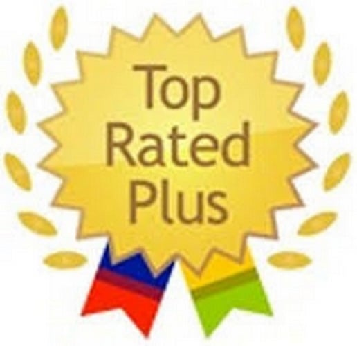 https://www.dummies.com/wp-content/uploads/ebay-business-aio-top-rated-seller.jpg