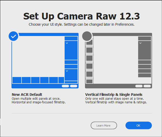 The Camera Raw Editor Setup screen.
