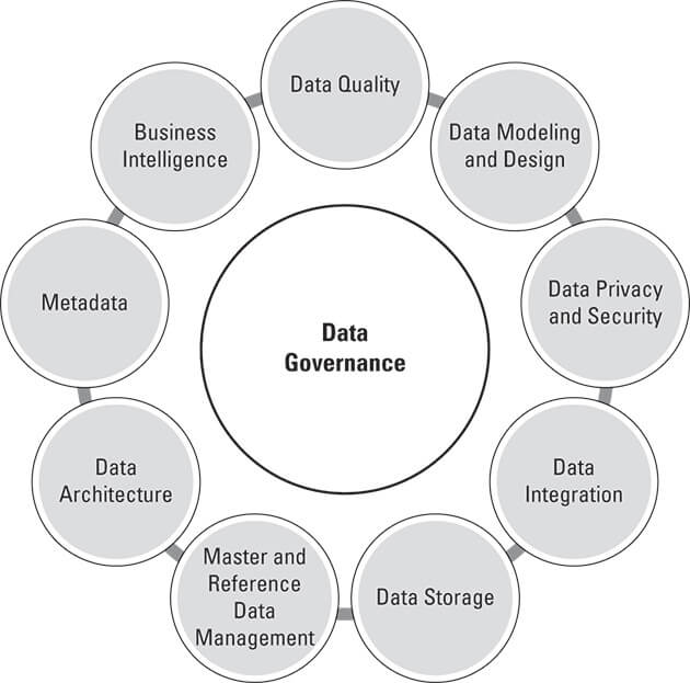 Graphic showing the most common elements of a data governance program