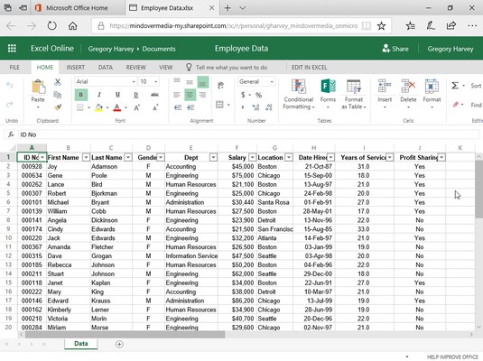 Excel Online editing with OneDrive