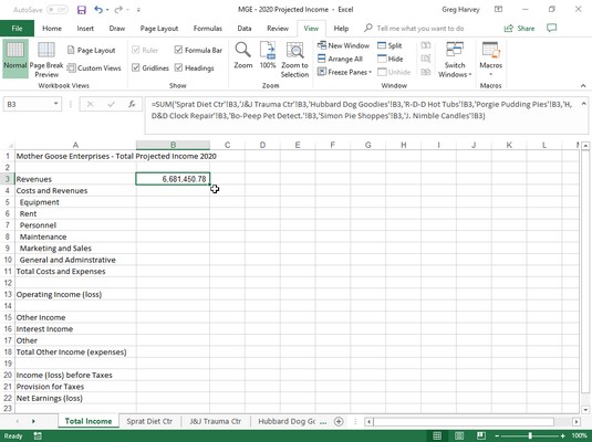 Total Income worksheet in Excel 2019