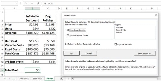 Excel Solver Results