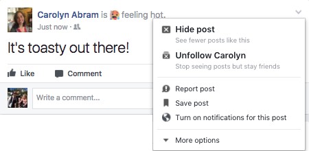 hide posts Facebook