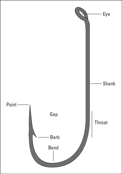 hook anatomy