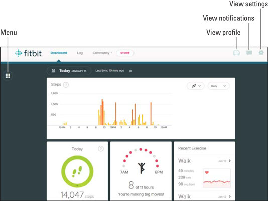 Fitbit Dashboard