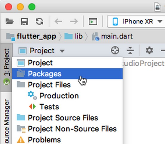 Android Studio Packages view