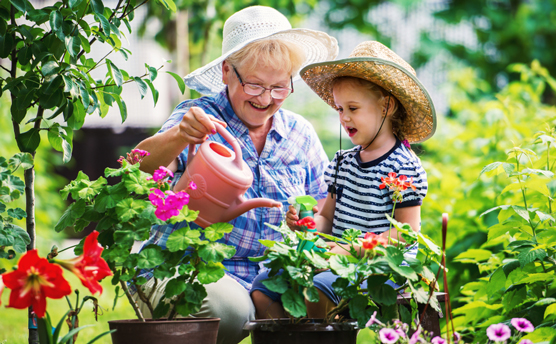 gardening