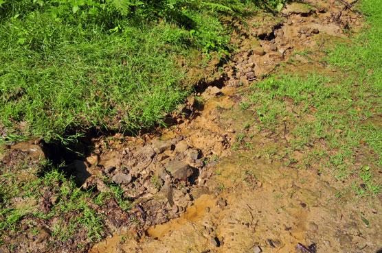 Destroying Farmland and Coastal Bluffs: Erosion