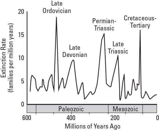 extinction rates