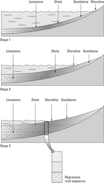 marine regression