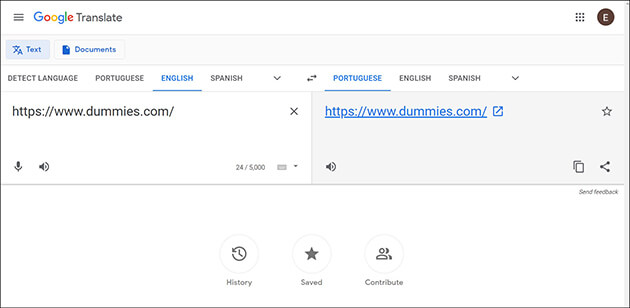 Google Translate page