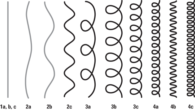 Chart showing different types of hair thickness and texture