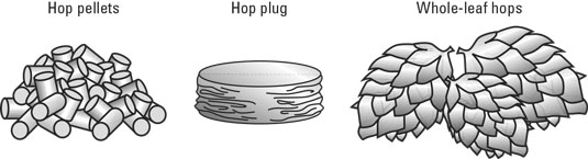 homebrewing hops