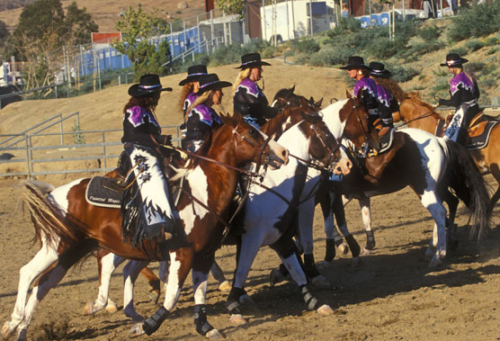 horseback drilling