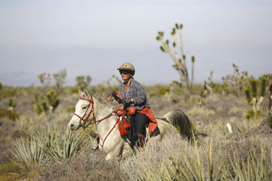 endurance rides