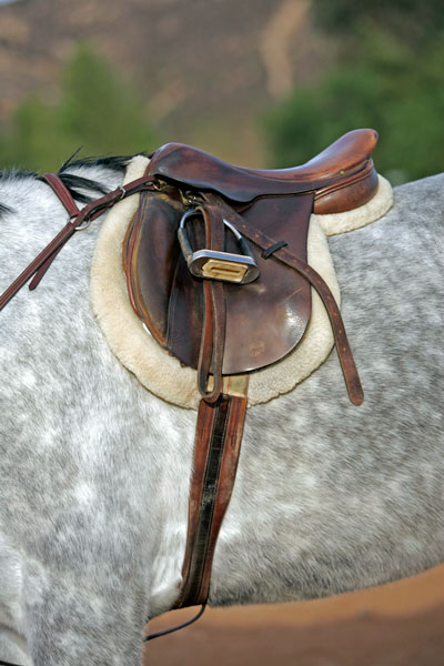 English saddle girth