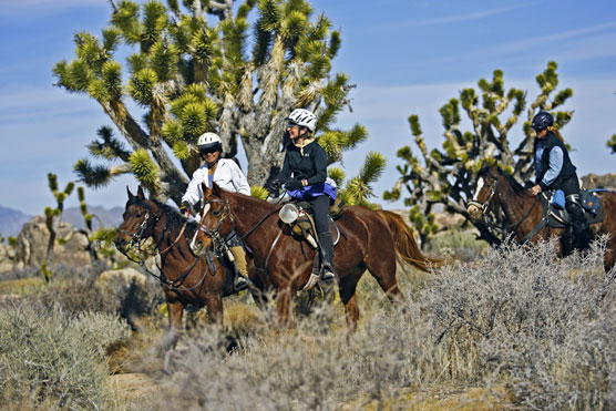 trail riding