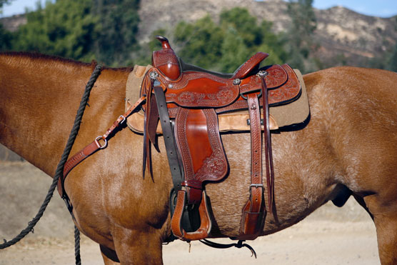 Western saddle placement