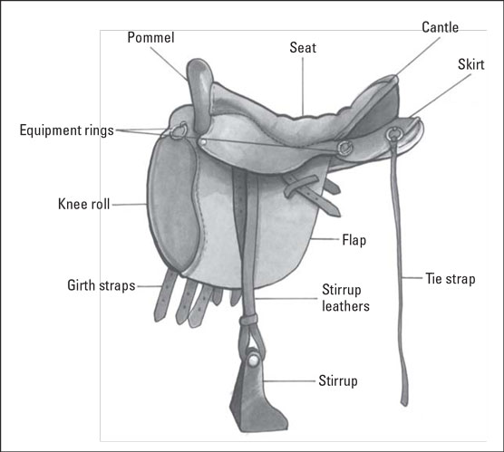 endurance saddle