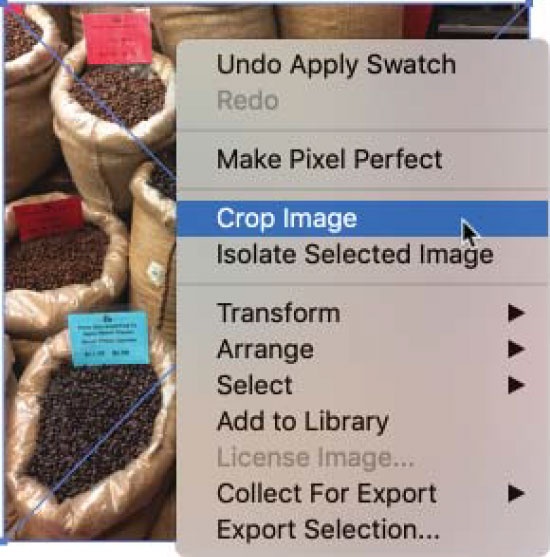 Selecting a placed image to crop.
