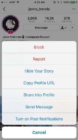 block Instagram user