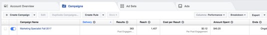 Facebook Ads Manager