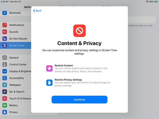 iPad content and privacy restrictions