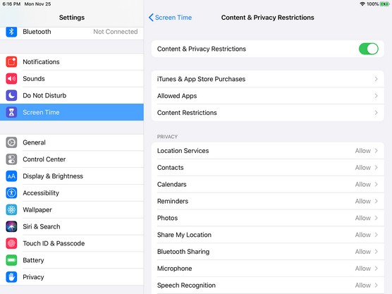 iPad Screen Time