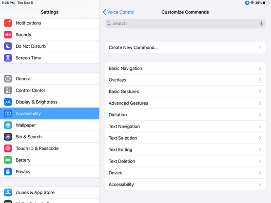 iPad Voice Control options