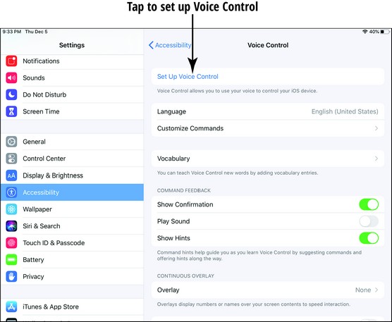 iPad Voice Control